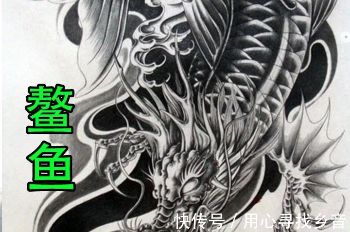 999凯|海贼王999凯多果实为“鱼鱼果实”，跃龙门最终成为了鳌鱼