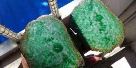 原石|翡翠市场“十有九豆”——豆种翡翠原石也有它的魅力