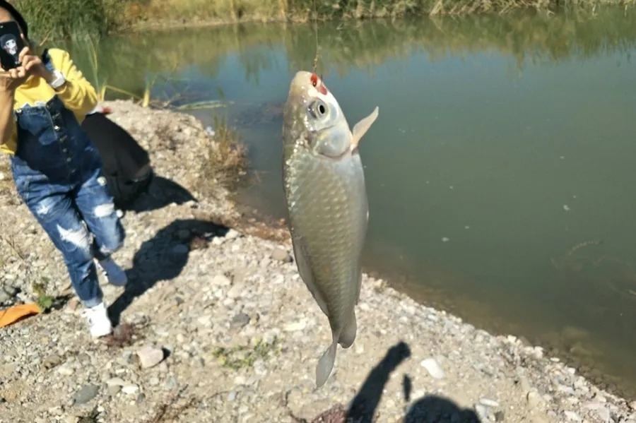 钓友|钓了三十年鱼，如今才公布这选位绝学，莫不信，一般人学不来