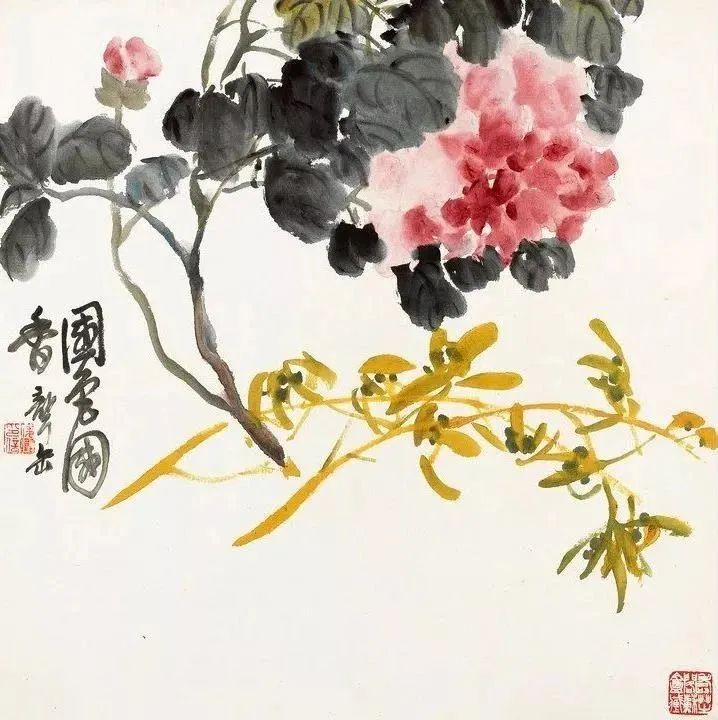 白菜@吴昌硕《花卉清供册》，经典精彩