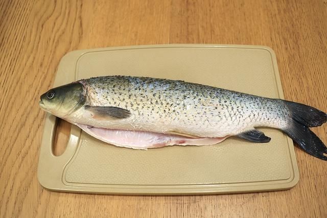 啤酒炖草鱼真够味，肉嫩汤浓，用电饭煲炖省心省事营养不流失