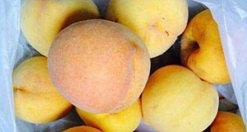 聪明女人喜欢吃的食物，补血养颜，抵抗衰老，改善血液循环