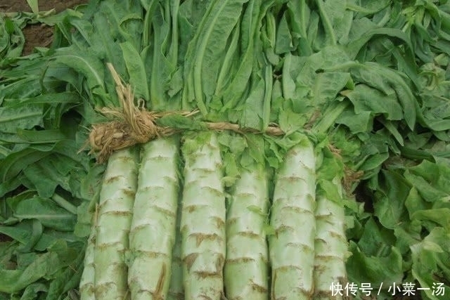 糖尿病患者|糖尿病患者的福音:常吃这几种食物,血糖降下,慢慢逼走糖尿病