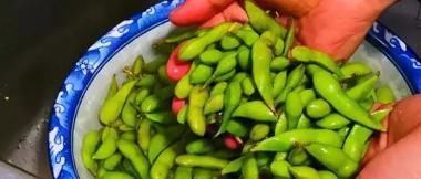 冰箱|夏天遇到它,我必买20斤,放冰箱冻起来,怎么做都香,现在正当季