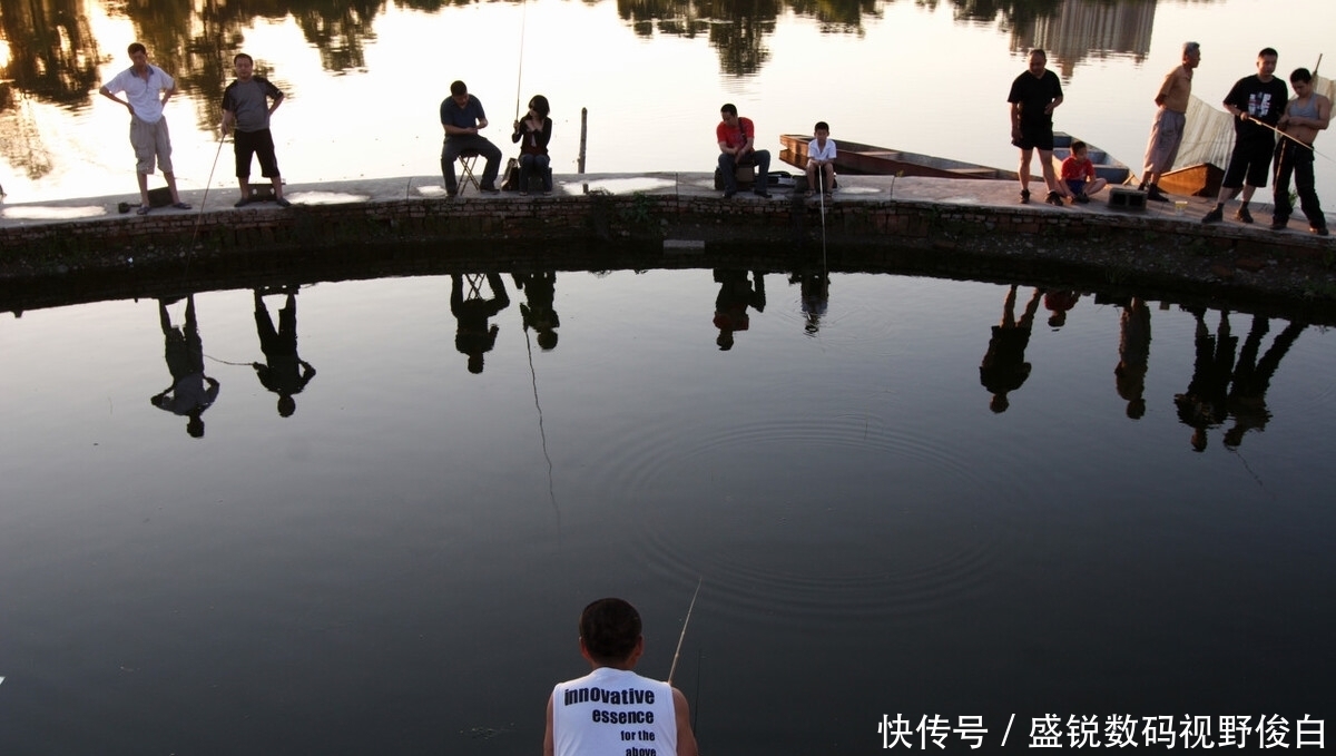 高手们|如何在调钓中搭配浮漂、铅坠和钩饵？这个小技巧高手们都在用