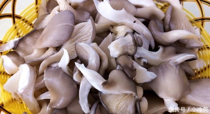 翻炒均匀|炒蘑菇前要不要先焯水,不懂进来了解一下,这才是蘑菇的正确做法