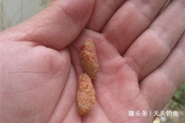 选用|夏钓深水有套路浮漂的选用和调漂方法，水深水浅方法有差别