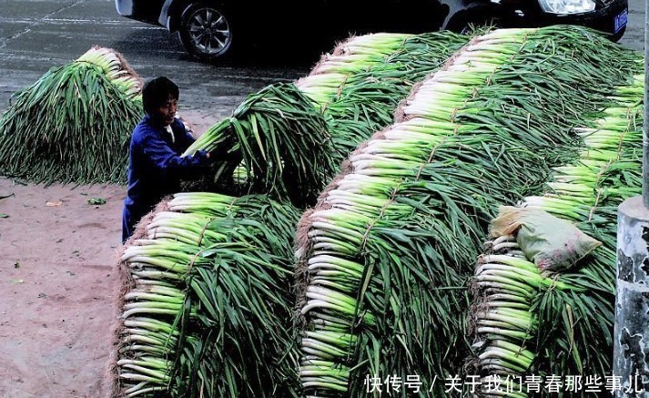保存|保存大葱,记住2个原则,学会2个方法,3个月不坏,不干瘪不空心
