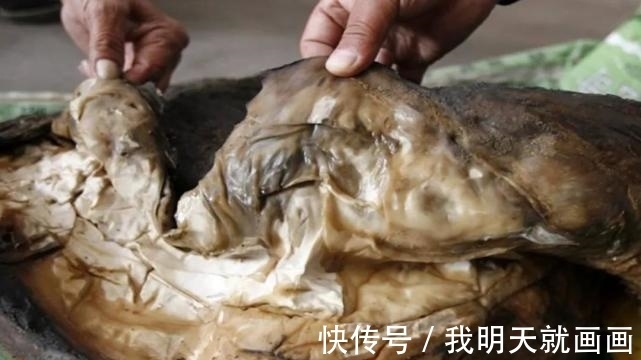 科学家们@一块卖出百万高价,太岁究竟是什么东西?科学研究揭开太岁之谜