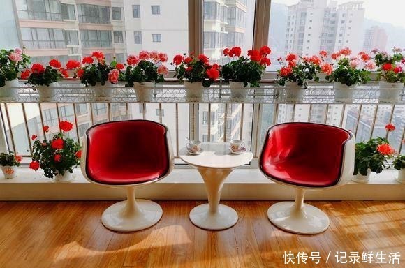 品种|为了养花，她花了3年时间，把家改造成了一个漂亮大花房，太惊艳！