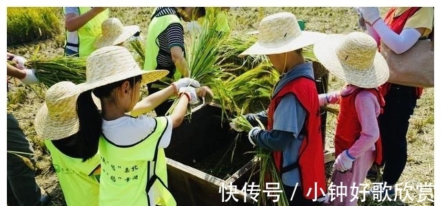 音乐季|带着孩子来割稻啦！还有稻田音乐季、美食市集和露营活动