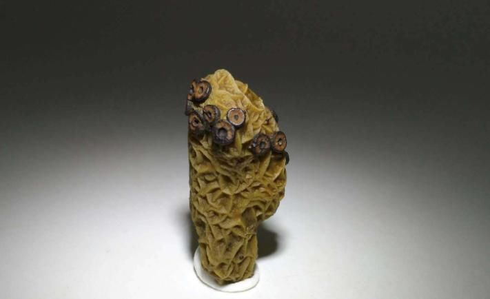 赏玩|赏玩奇石,能让人充满对自然的热爱,奇石的魅力更是无与伦比