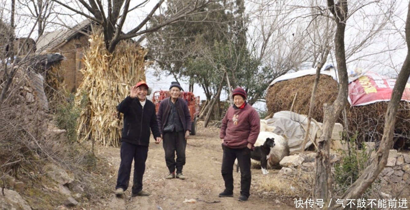 逃难|河南老人逃难至山顶，靠30亩荒地活到90余岁，变成景区后被迫搬离