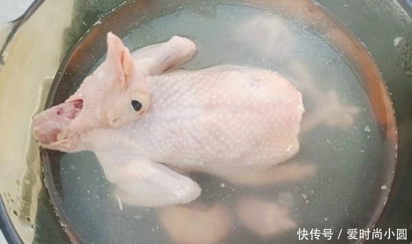 焯水|一鸽胜九鸡,鸽子汤这样炖才最滋补,汤鲜味美,营养还翻倍,特香