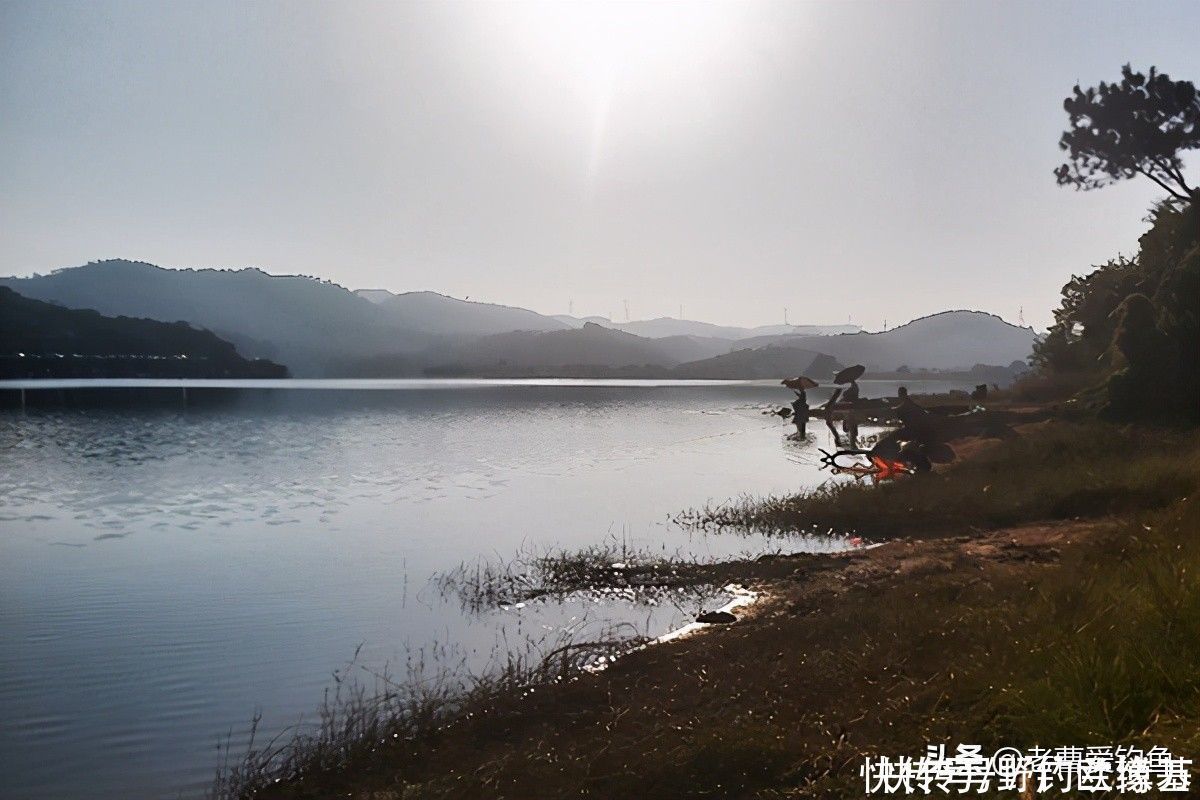 钓友|下杆须谨慎,不单用于黑坑提醒,水库同适用