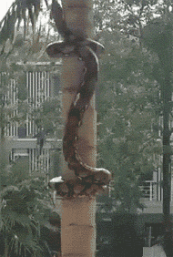 |搞笑GIF段子:小孩别看!