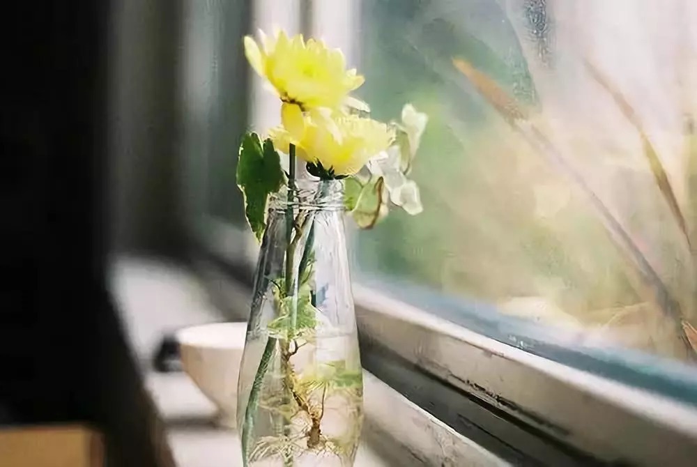 良心&做人做事,就两个字!