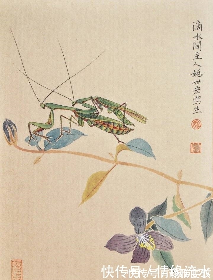 画家|细闻如天籁——读姚世宏的国画草虫近作