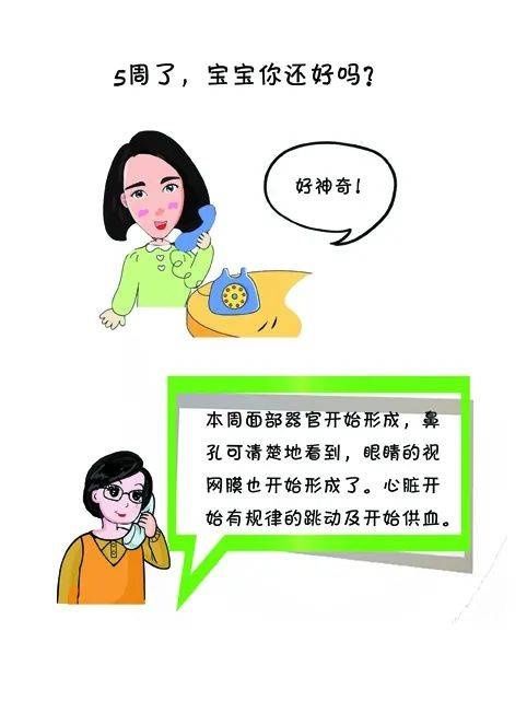 发育|孕5周的胎宝宝发育到什么程度了？