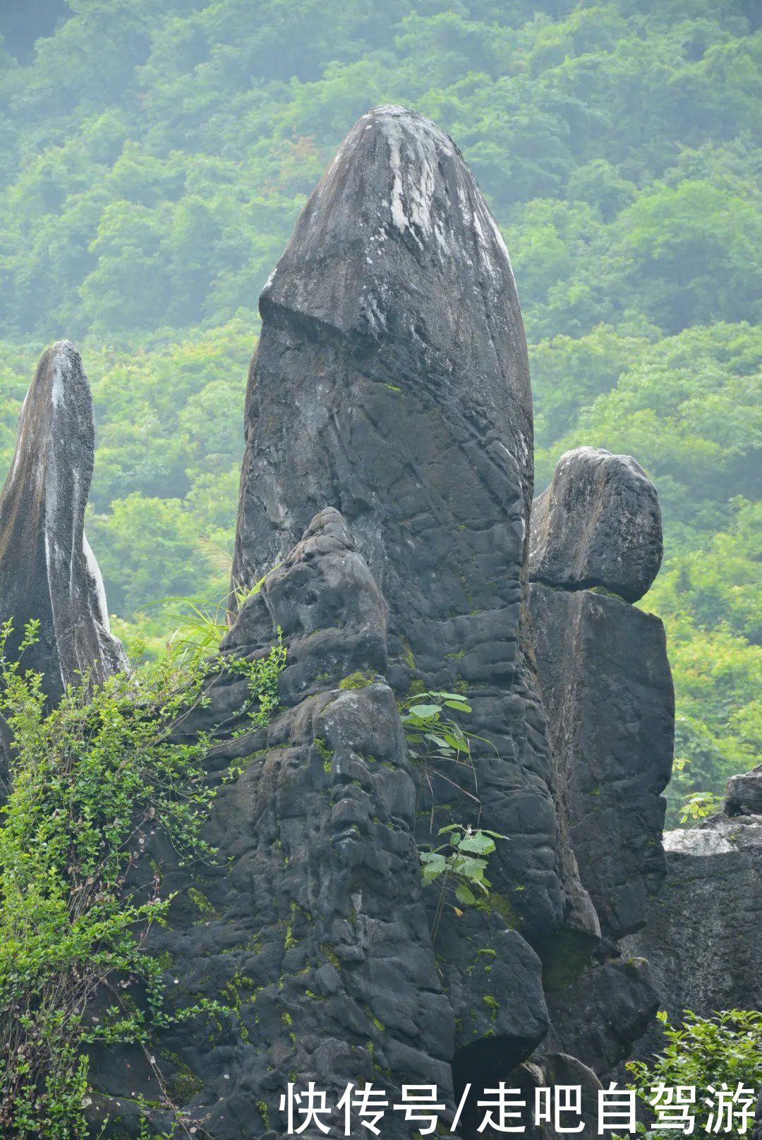 玉石|鲜为人知，广西有片一亿年前的罕见汉白玉石林