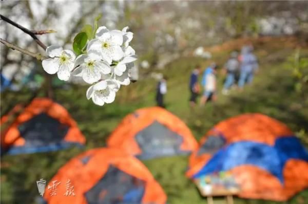 登上《人民日报》头版！云南个旧这个美丽乡村到底有多美？