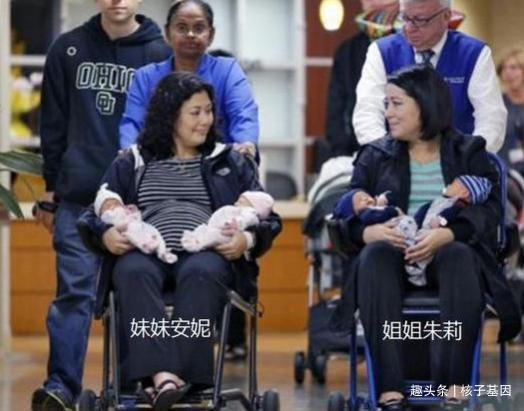 试管婴儿|两姐妹同一天生下双胞胎,4个孩子亲子鉴定结果同父异母