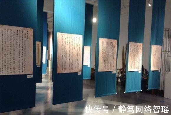 英文#植物大战僵尸:它们能够取代坚果家族?站着不动都能消灭僵尸!