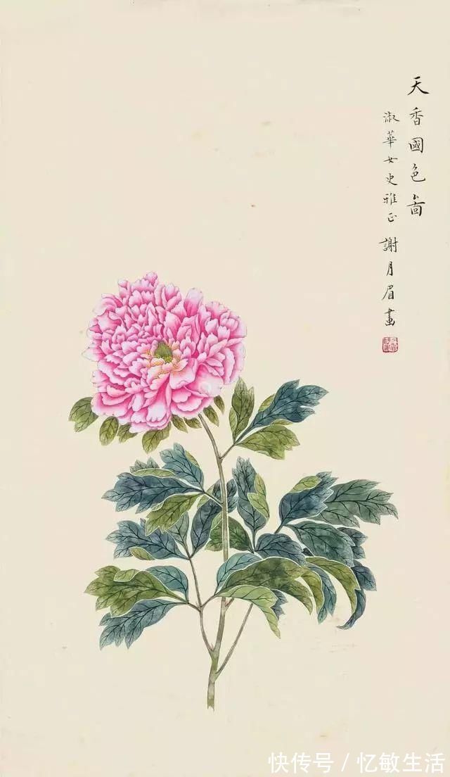 花鸟!她凭天赋自学书画,画画不到20年,却堪称“花鸟圣手”,成为一代传奇