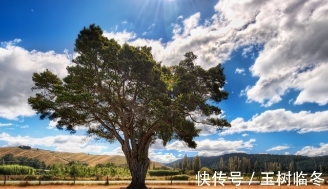 星座|这几个星座“心机重，城府深”，却不屑于算计他人，一生坦坦荡荡