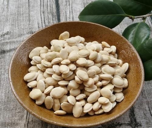 养脾|中国人的养脾圣药横扫脾气虚、脾湿重、胃阴不足,值得学习