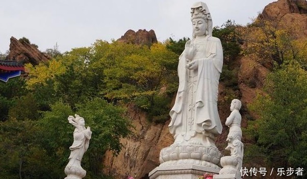 老年|去看山?不如去趟普陀山!