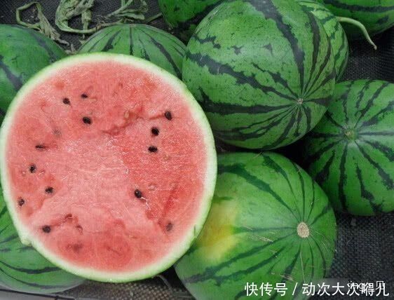  西瓜|各国对待西瓜的不同卖法，印度叫网友大开眼界，日本西瓜则吃不起