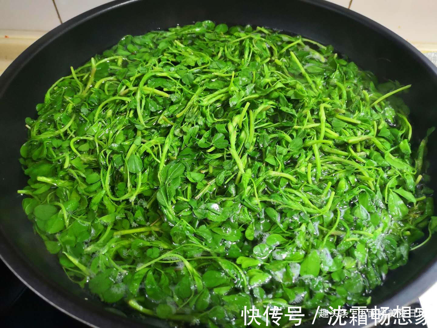 小面姨|3月这菜是个宝,半个月就老了,包饺子最好吃,清香多汁又营养!