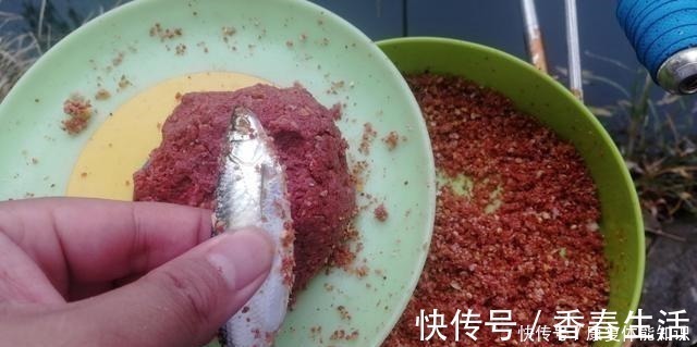 小鱼闹窝并不是坏事，明白这几点，再也不怕小鱼闹！