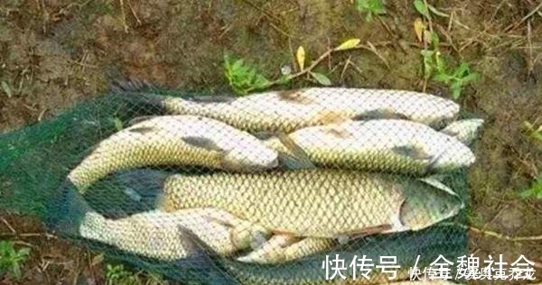 窝点|钓鱼技巧:鲜为人知的钓鱼冷知识,看似没用,其实影响了渔获量