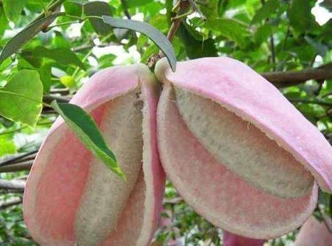 白菜|女生若不想变成黄脸婆，这3物要常吃，或腰不疼，子宫也健康了