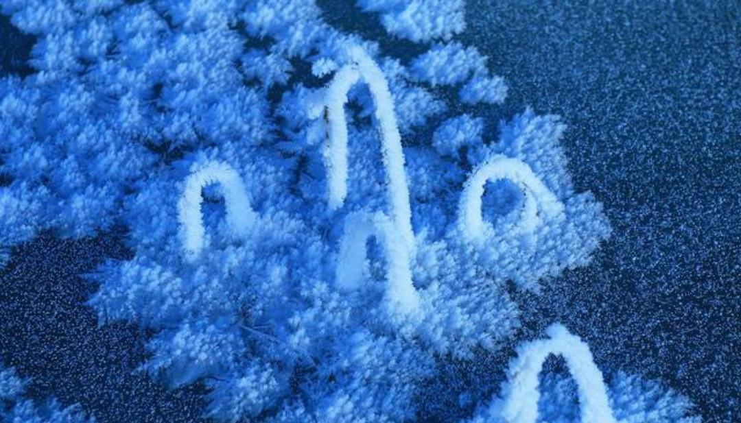 霜|杨万里一首很有趣的七绝《霜》,只是那么淡淡着笔,但是很唯美!