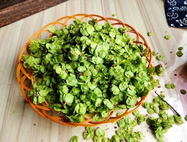 菠菜|春天唯一不含“草酸”的野菜，钙是菠菜3倍，正当季，不懂吃可惜