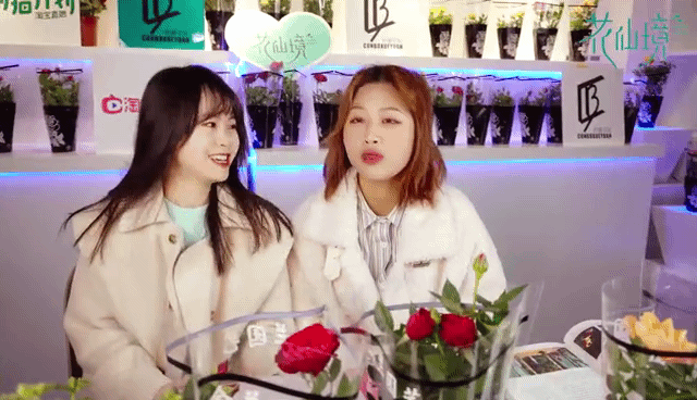 仙境花车惊艳亮相温江,花仙境努力践行公园城市的发展新理念