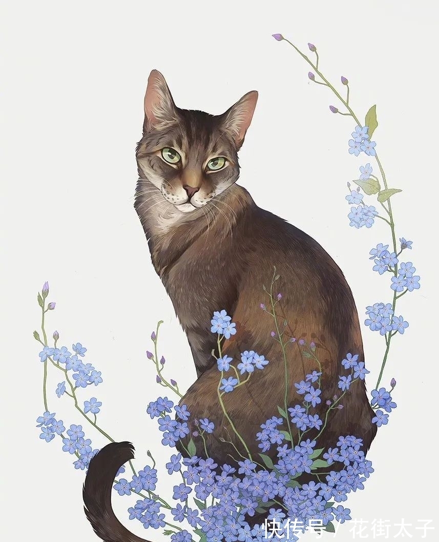 荒野$艺术守护荒野|万物生灵的和谐之美