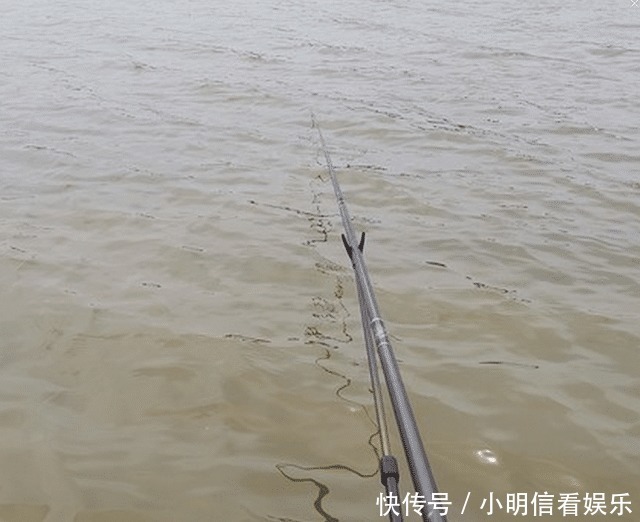 大鱼|想钓大鲤鱼很难么?教你4招钓到手软,3斤一下直接放生