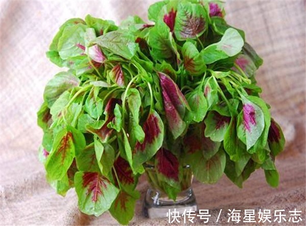 橘子|女性进入易瘦期，多吃3种食物，减肥护肤，润肠通便，越吃越瘦