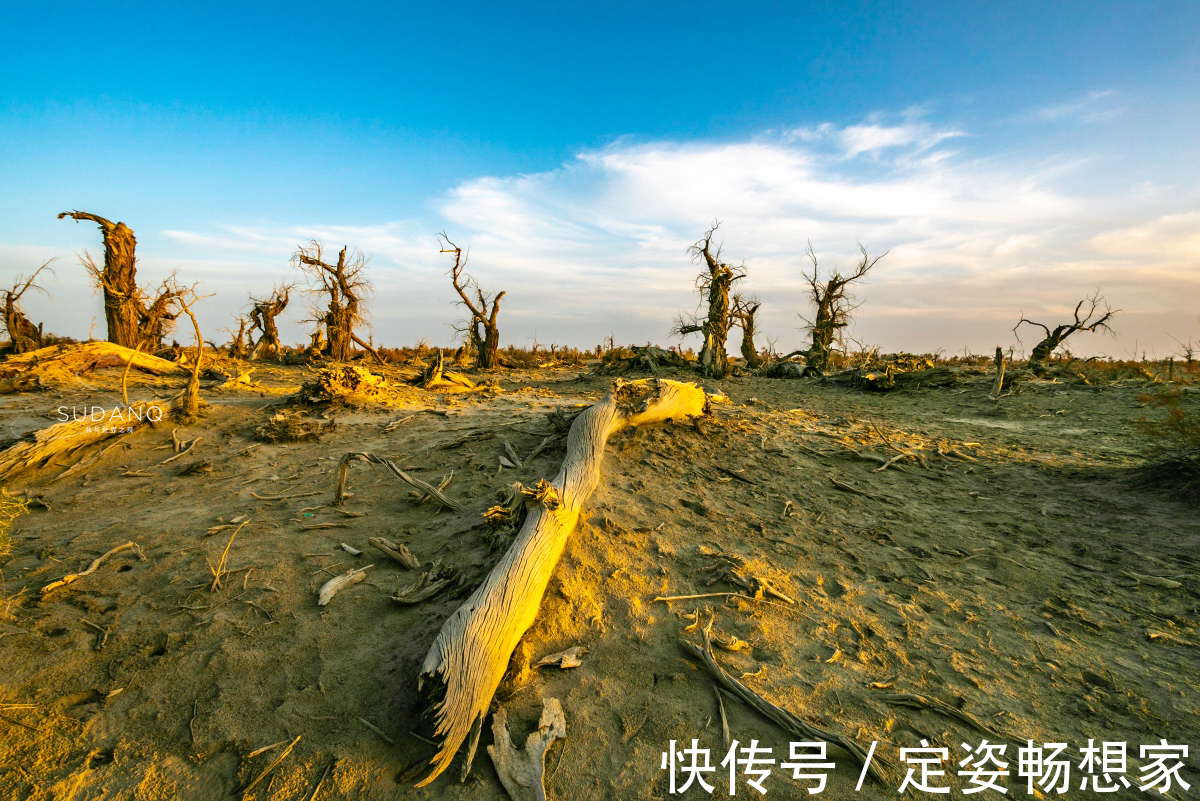 沙漠|神秘的塔克拉玛干沙漠，藏有“生命禁区”，却吸引无数探险者