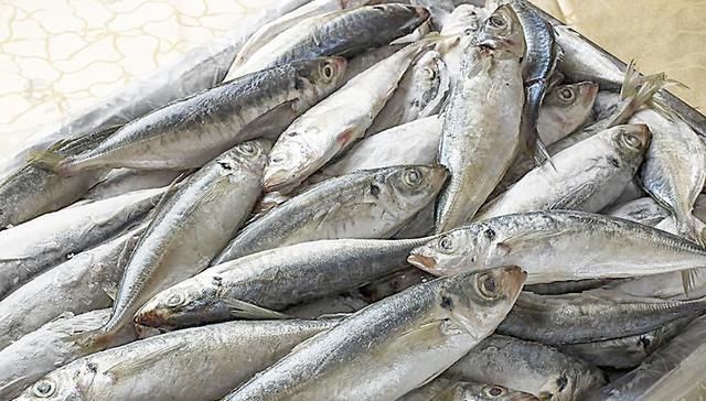 海鱼|以后去市场,就买这5种海鱼,便宜又好吃,鱼铺老板都要夸你懂行