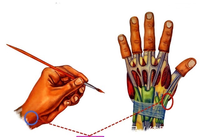 疼痛|为什么更年期的女性出现各种疼痛?该咋办?请看此文,医生告诉您