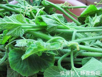 营养|人到中年想长寿,推荐吃三种食物,营养丰富,早吃早好