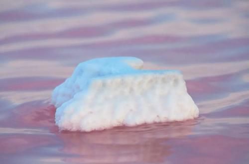 网友|火车驶入粉色盐湖，俄版《千与千寻》如此唯美