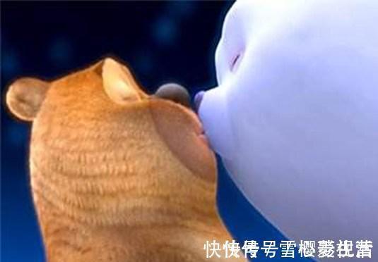 赵琳|熊出没:最般配的五对情侣,光头强纳雅各有归属,可怜赵琳注孤生