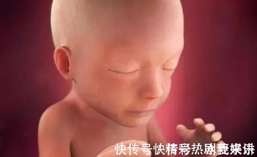 怀孕|怀孕5个月,如果孕妇遵循“四要三不要”原则,胎儿健康又聪明