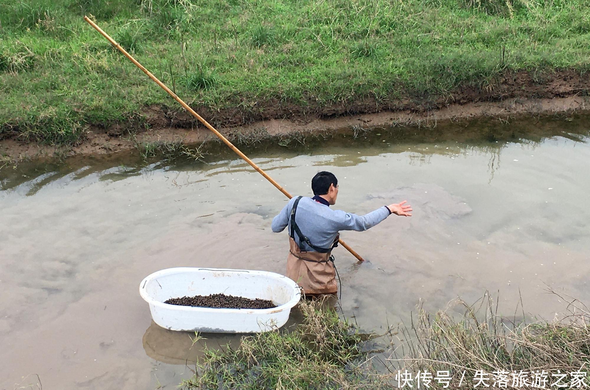 夏候水鸟|【诗鸟谐趣】菱角湖，能不能创造这样令人向往的生态旅游呢！